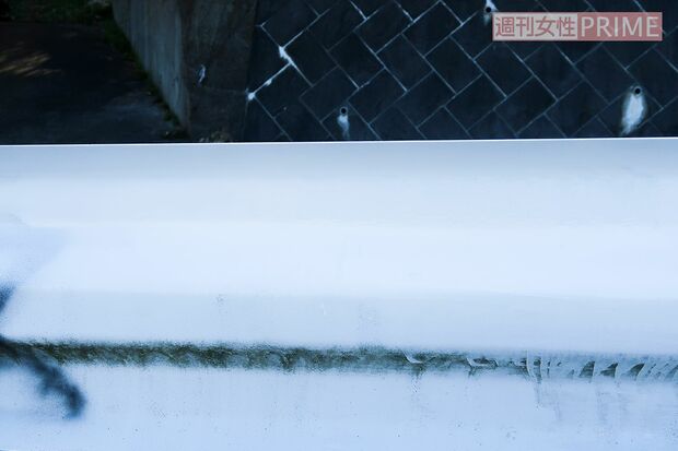 山口容疑者が落書きをしたと思われるガードレール。上部に白ペンキで塗り直した跡がある