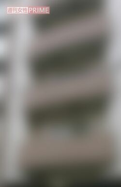 中居正広が所有する高級マンションから程近い場所に建つ、恋人のMさんが住んでいたワンルームマンション