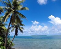 病気にも繋がる冬バテ防止は「リラックス・スイッチ作る」