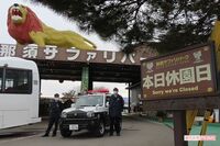 飼育員3人を襲ったトラ、那須サファリパークは「殺処分されることはありません」