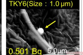大気エアフィルターや土壌から発見されたセシウムボール。写真は'19年の宇都宮聡・九州大学准教授らの論文から
