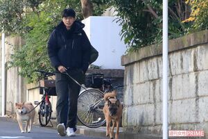 東出昌大。離婚前はよく夫婦そろって犬の散歩をしていた