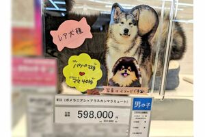 1200万回以上表示され、話題となった投稿（Xより）