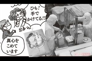 『崎陽軒シウマイ弁当』