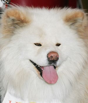 20150707_nadeshiko_sawa2