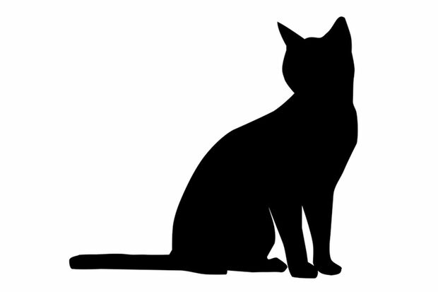 2月22日は猫の日 好きな 猫キャラ ランキング 1位はジブリ キティに大差で勝利の 国民的アニメ 週刊女性prime