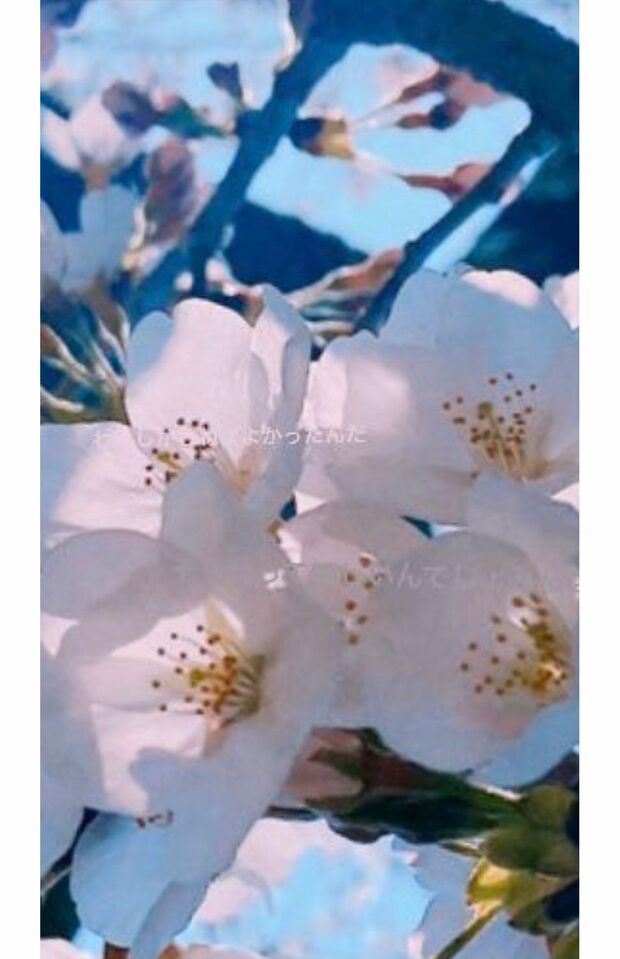 疑惑のインスタストーリー。拡大すると何や「テキスト」が（ツイッターより）