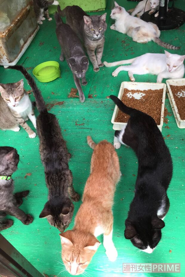 引っ越して2か月くらいの足利市の自宅（関係者提供）