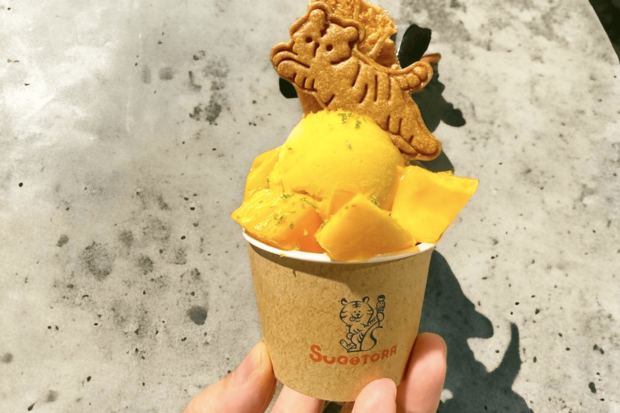 【京都】SUGiTORA（スギトラ）フレッシュな『マンゴーパフェ』864円！地元でも大人気のジェラート店。イートインの優美でアートなパフェもいいが、テイクアウトのミニパフェはトラちゃんがのり、悶絶する可愛さ！　抹茶の味わいとともに京都の町で映え歩きを楽しんで！DATA京都府京都市中京区中筋町488-15　TEL.075-741-8290
