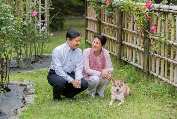 写真／宮内庁  東宮御所のバラが咲くお庭で愛犬の由莉と