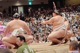 《大相撲初場所》義ノ富士、大の里、安青錦らの熱戦に「座布団投…