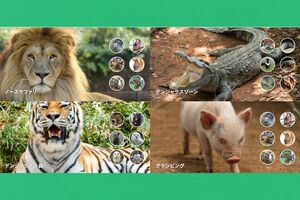 ノースサファリサッポロ公式サイトより