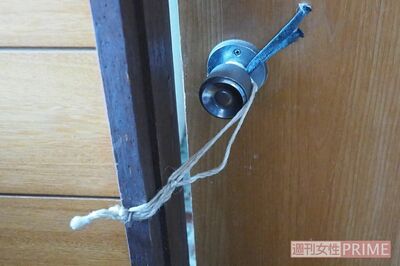 扉は猫が出ないよう厳重に施錠