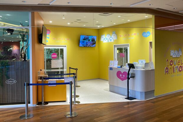 『アニモア・ラブリー』の入口