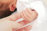 出生率は過去最少、生きづらさを抱える女性の告白「おめでたですか?と聞かないで」