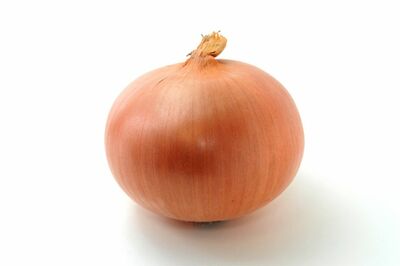 玉ねぎ　※写真はイメージです