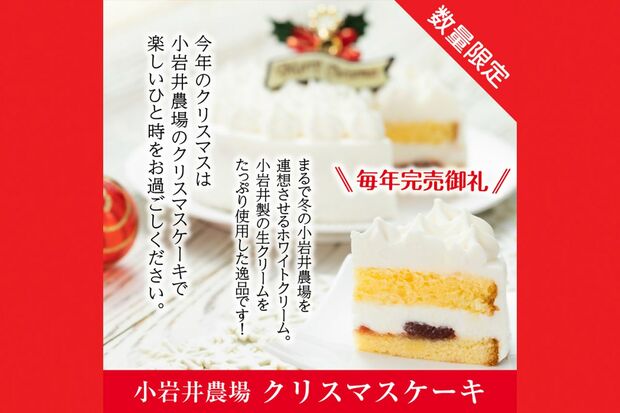 クリスマスケーキ5号サイズ
