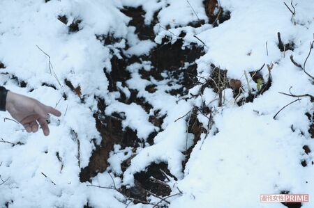 安田さんは「地面が茶色く削れている部分は猪が通った跡の可能性が高い」と指でさし示す