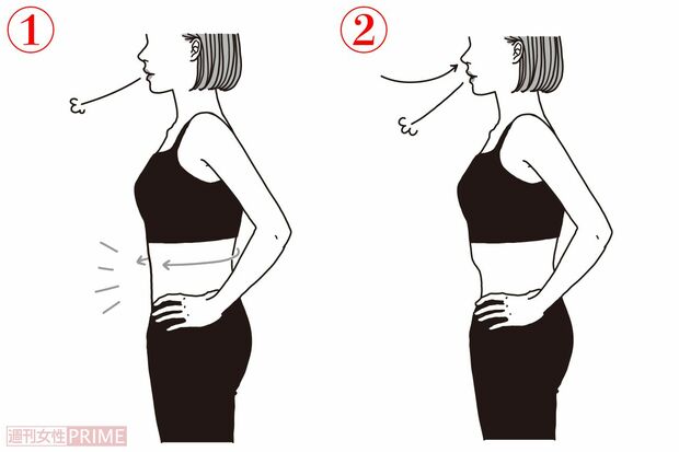 ドローイン習慣で脂肪が燃える身体に！（イラスト／二階堂ちはる）