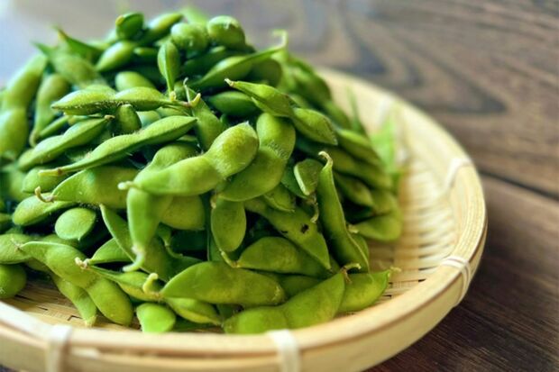 ※写真はイメージです