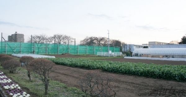  男性教師が猫を生き埋めにした校内農場脇の現場