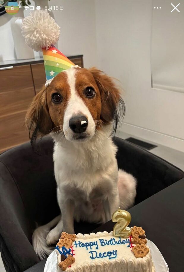 2025年5月のデコピンの誕生日は犬用のケーキでお祝いしていた（大谷翔平のインスタグラムより）