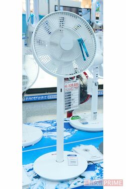 バルミューダEGF-1700-WG［DCモーター扇風機ザ・グリーンファンホワイト×グレー］39600円（税込み）撮影／山田智絵