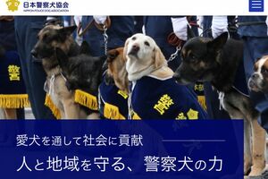 警察犬といえばこんなイメージ（日本警察犬協会HPより）