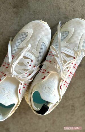 ランニングシューズは必ず持っていく。どの街を旅しても、朝ランは欠かせない　写真提供／山脇りこさん