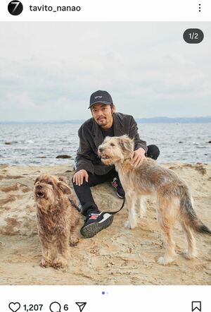 シンガーソングライターの七尾旅人氏（本人のインスタグラムより）