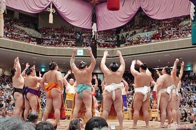 《大相撲初場所》義ノ富士の金星に新大関安青錦奮闘の中、溜席に芸能人目撃情報多数、NHKでテレ朝ドラマの…