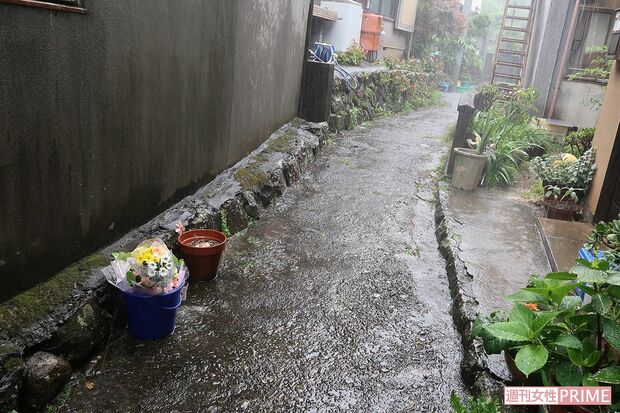 凶行の現場となった住宅街の狭い路地。供えられた花が雨に濡れていた（沼津市内）