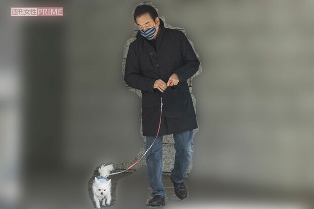 2月上旬の昼下がり、愛犬と散歩する高橋英樹。「体調万全で仕事に参加できるように」と、日々運動を