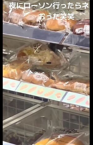 ローソン店内でネズミがパンをかじる動画。商品は『ふんわりコーンマヨネーズパン』か(3/4、Xより)