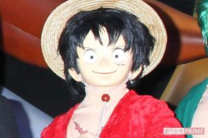 人気マンガ『ONE PIECE』のルフィ