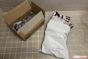 トコジラミは実はカメムシの仲間。身が薄く、つぶすよりセロハンテープで捕獲するのがおすすめ