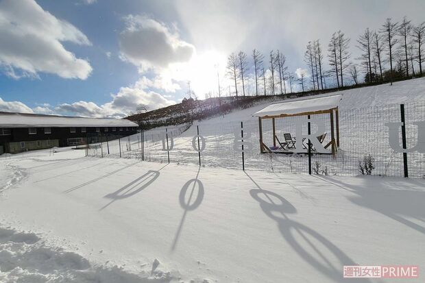雪景色も綺麗なドッグラン