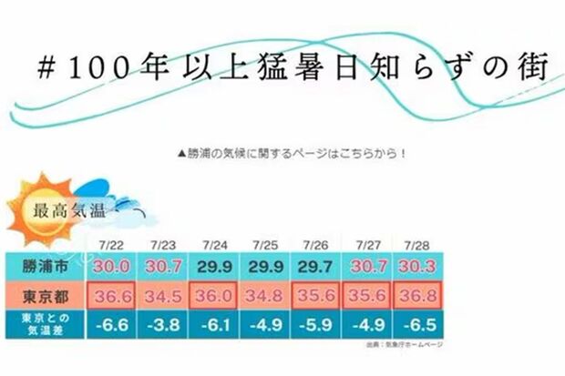 （出所）千葉県勝浦市移住・定住ポータルサイト