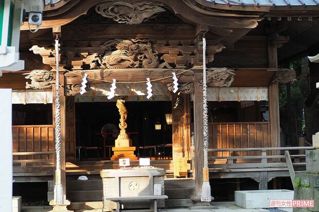 境内の中心、本殿に祀られているのは「金龍」。「お金や人の運を呼び込んでくれます」　東京都・田無神社