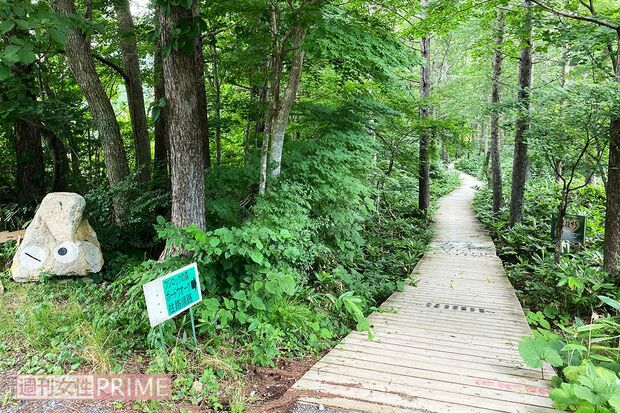 ボードウォークの入り口（'20年8月）