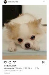 自身のSNSで神田さんの愛犬の画像を発信し続ける村田充