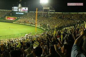 新入団選手が目標とする阪神甲子園球場