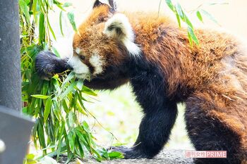 現在の風太くん