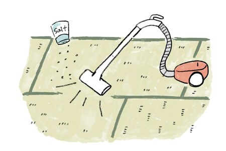 イラスト／やのあきこ