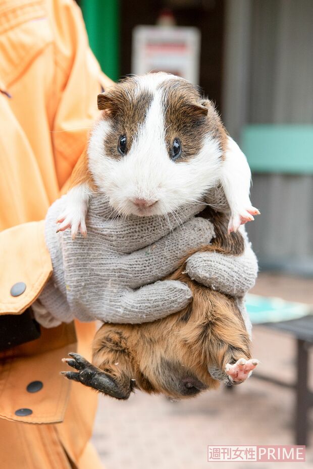 （4）先生交代！　ひろのりくんに。再び目線を合わせて……