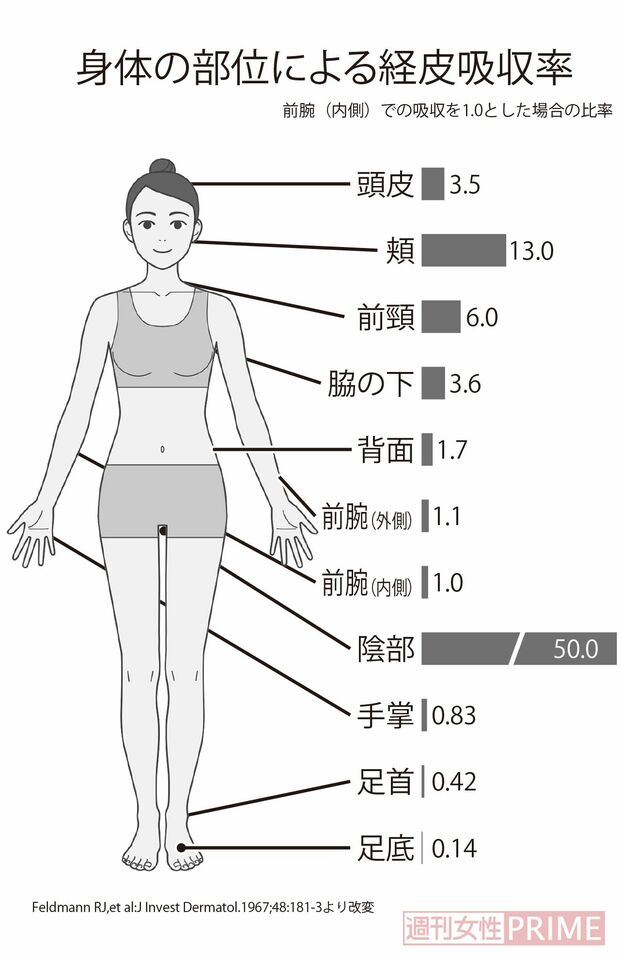 身体の部位による経皮吸収率