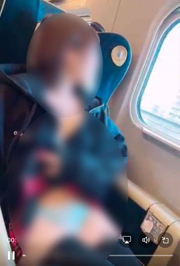 電車内で撮影されたと見られるショート動画