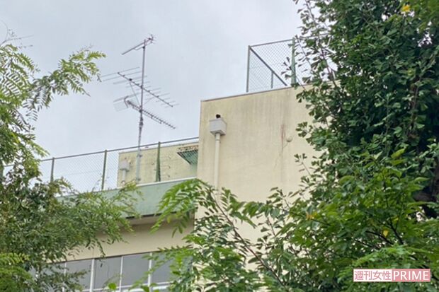 保護者の間で“減刑を求める嘆願書を集めよう”という動きも出ているほどだという