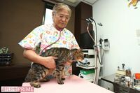 獣医師「飼い主さんが“イイ女(男)”になることが、ペットの長生きにつながる」