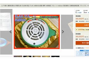 藤原紀香・片岡愛之助の結婚式で配られた引き出物（オークションサイトより）